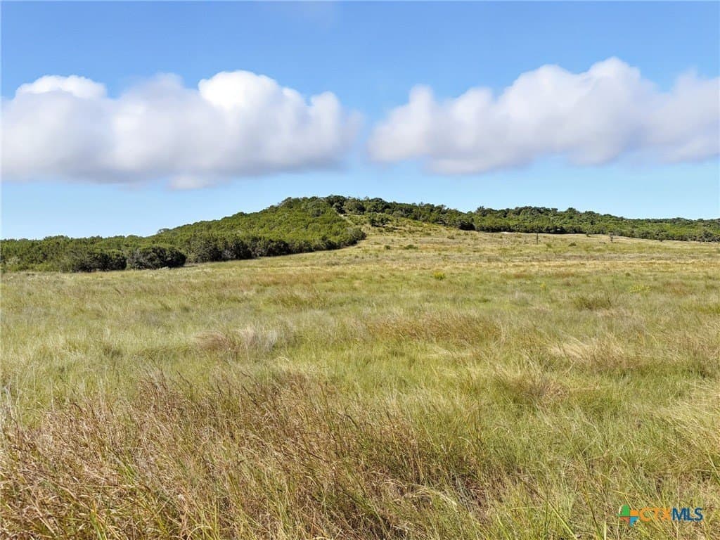 10.52 acres in Coryell County gallery image 2