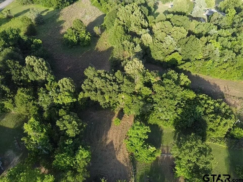 0.71 acres in Wood County gallery image 3