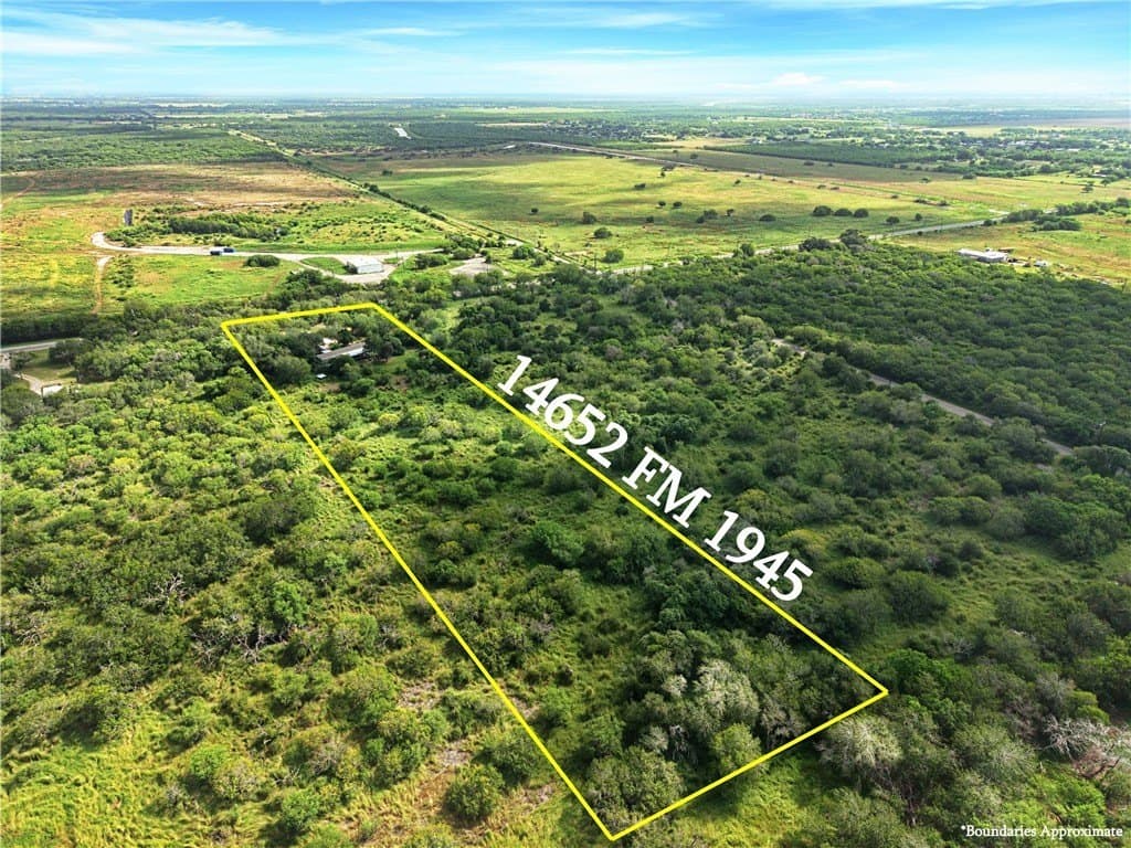 3 acres in San Patricio County gallery image 4