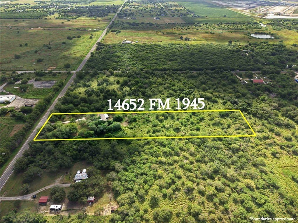3 acres in San Patricio County gallery image 3