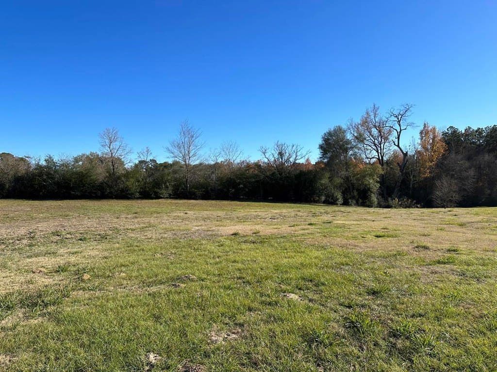 0.79 acres in Texas County - photo 4