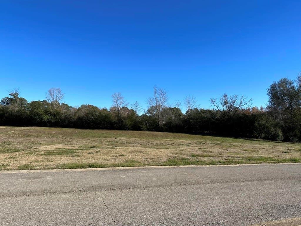 0.79 acres in Texas County - photo 3
