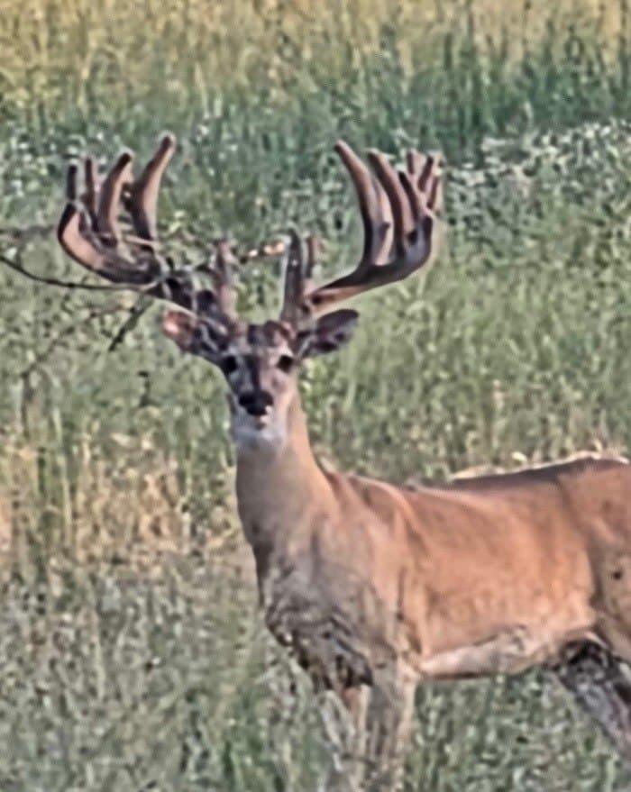 318.65 acres in San Saba County - photo 10