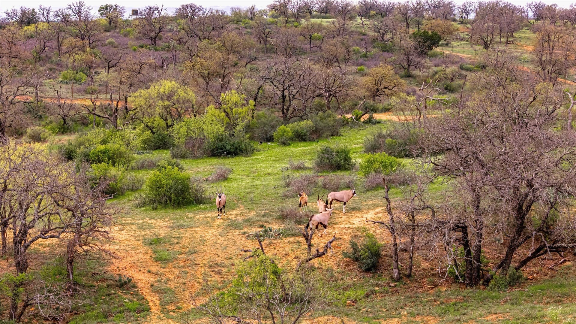 318.65 acres in San Saba County - photo 23