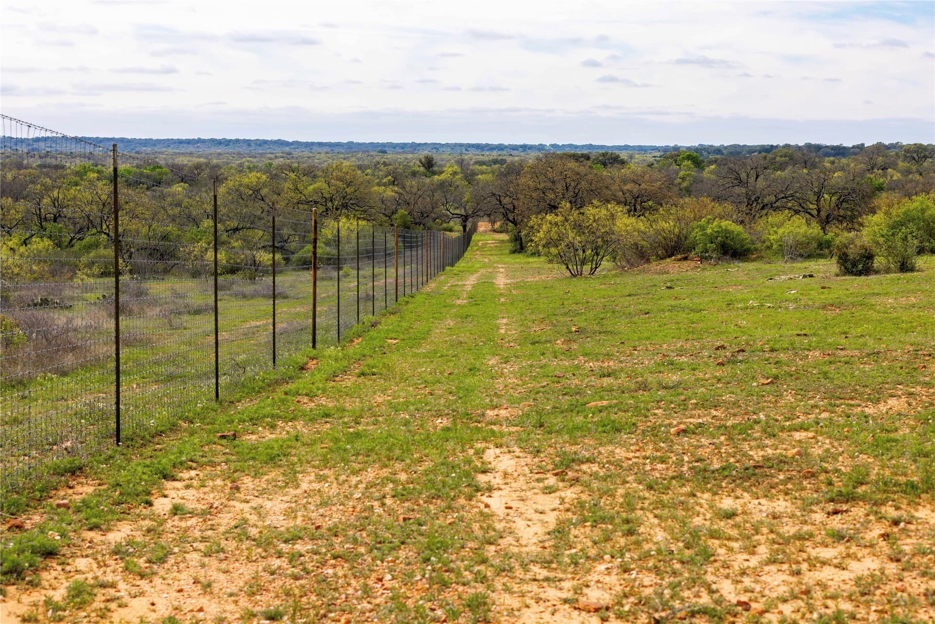 318.65 acres in San Saba County - photo 18