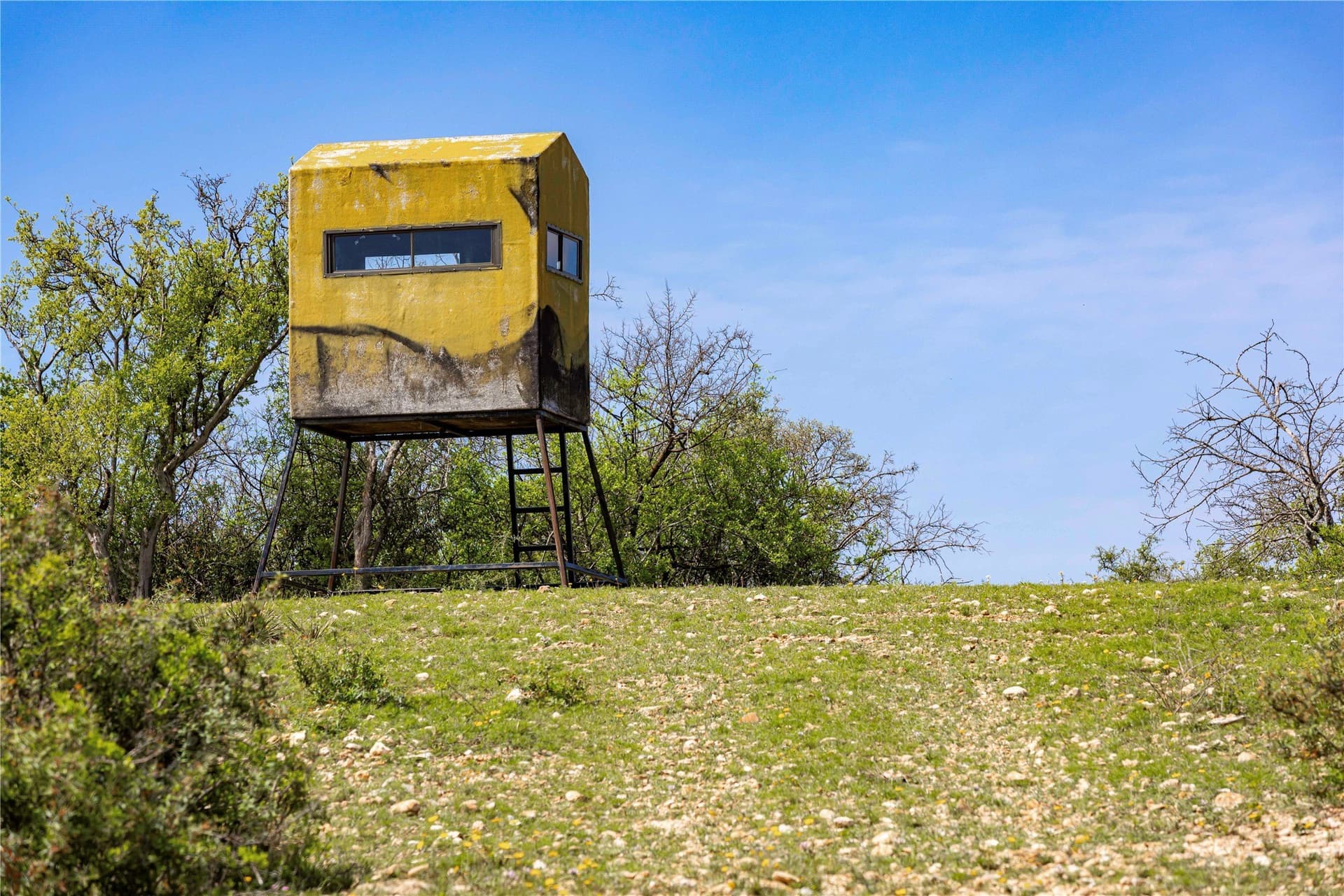 318.65 acres in San Saba County - photo 13