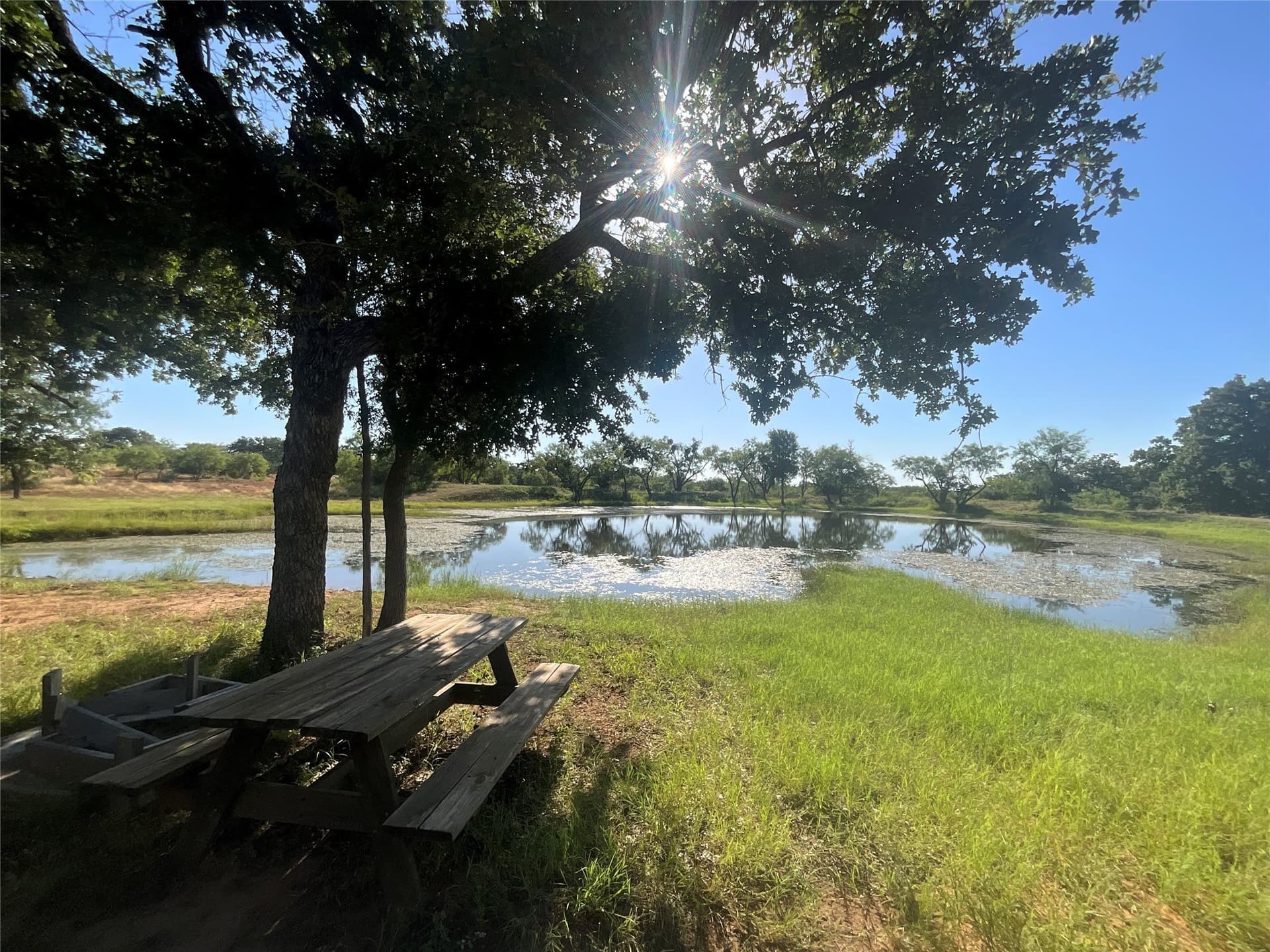 318.65 acres in San Saba County - photo 4