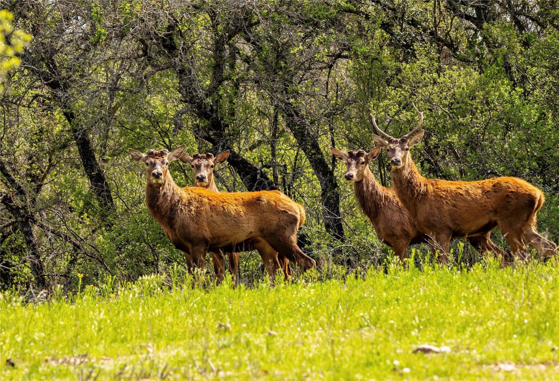318.65 acres in San Saba County - photo 17