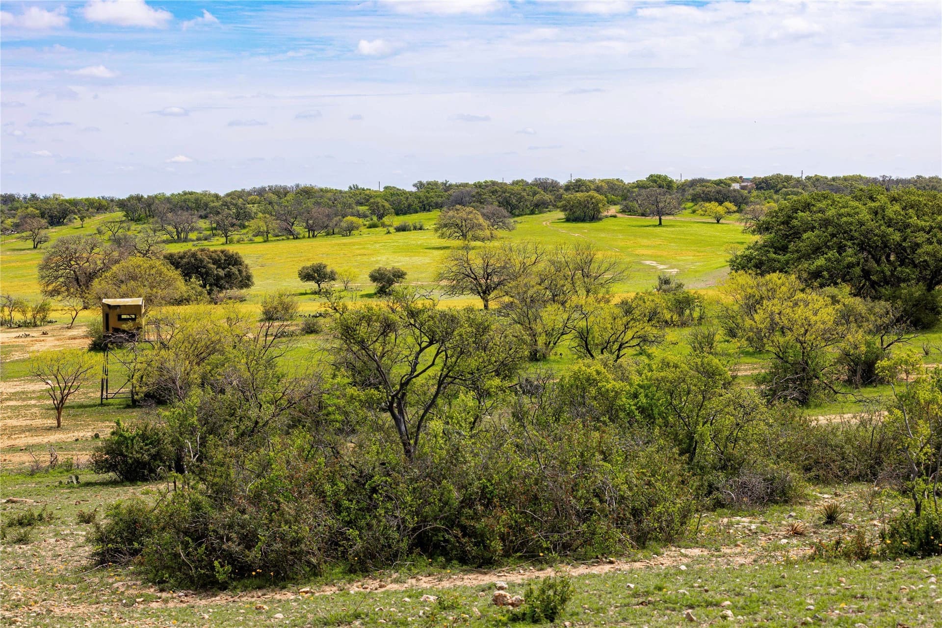 318.65 acres in San Saba County - photo 12