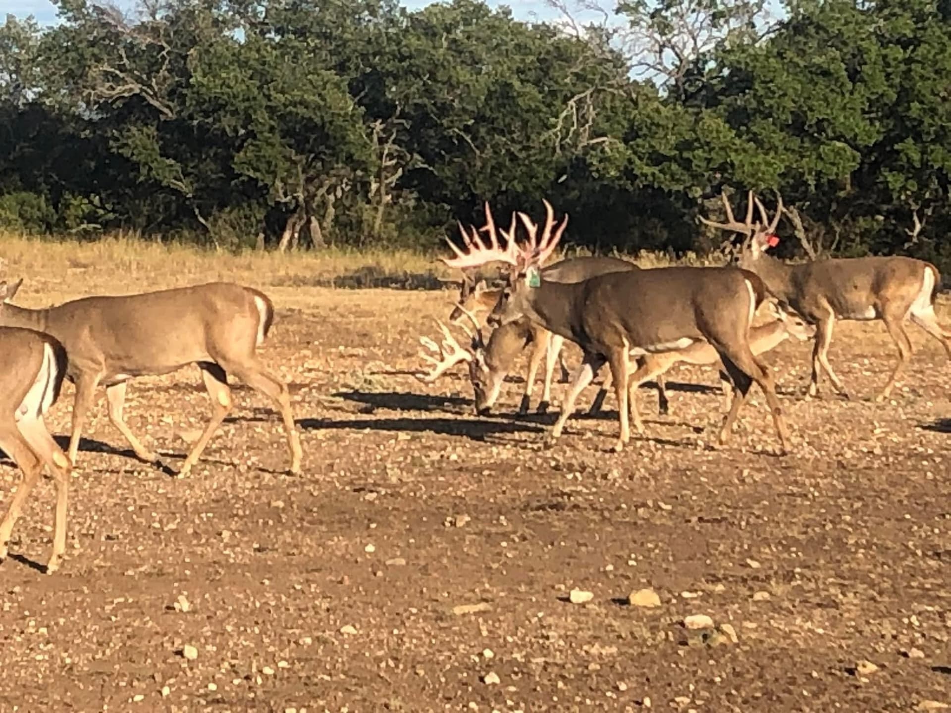 318.65 acres in San Saba County - photo 21