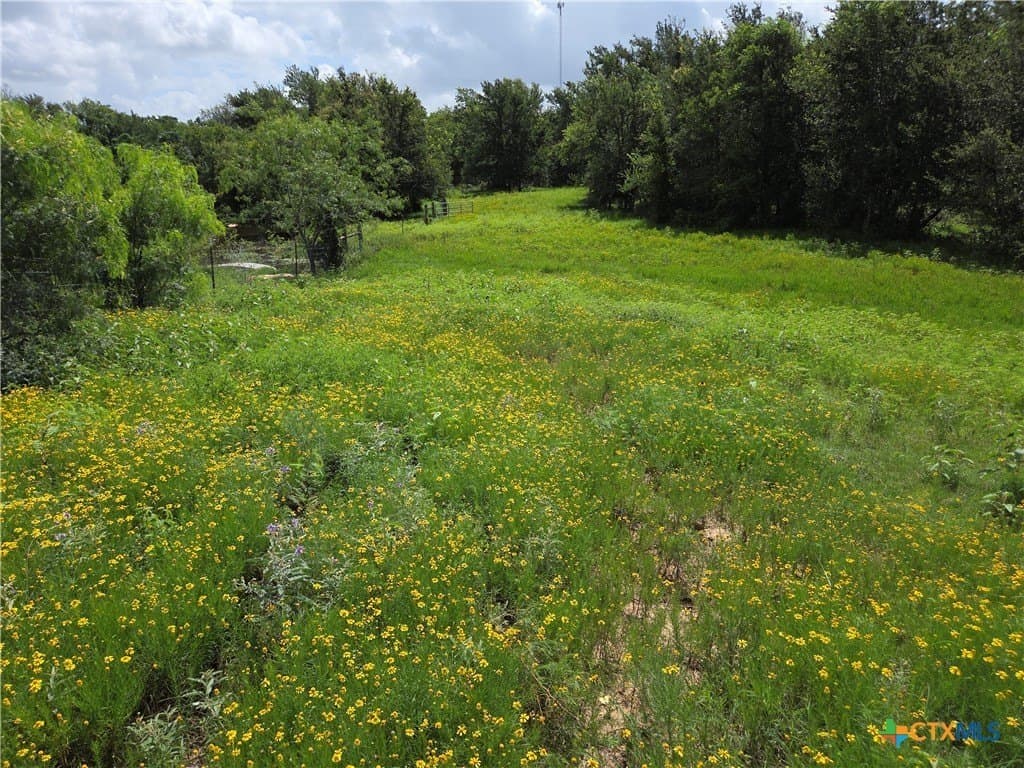 35 acres in Milam County featured view