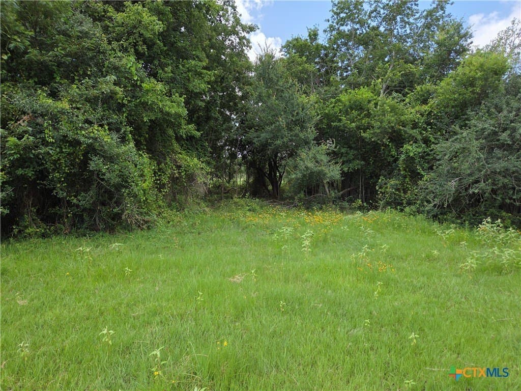 35 acres in Milam County gallery image 3