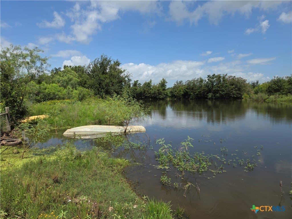 35 acres in Milam County gallery image 2