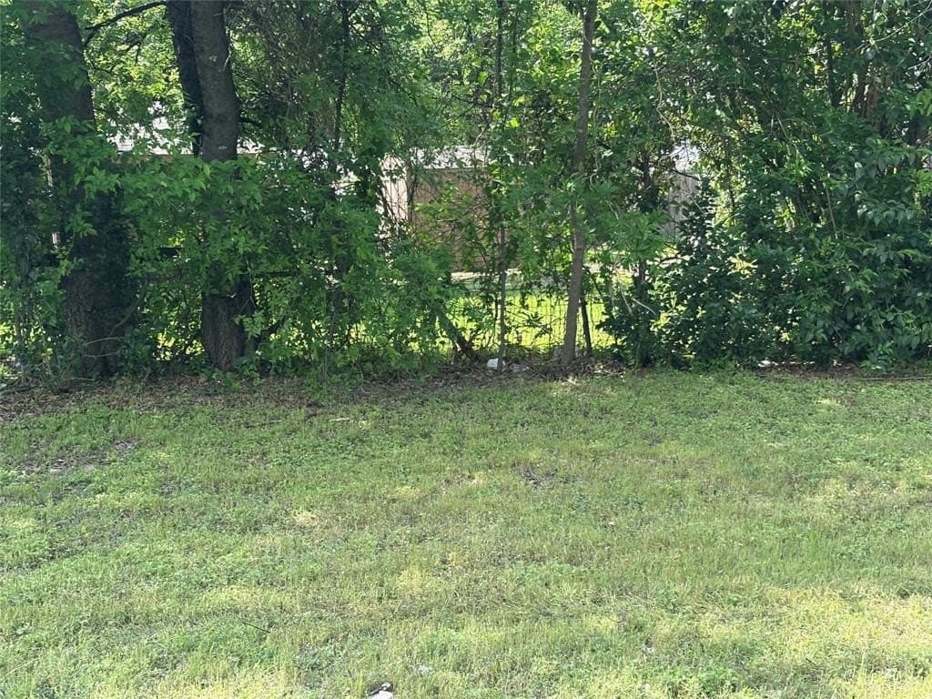 0.14 acres in Dallas County gallery image 2