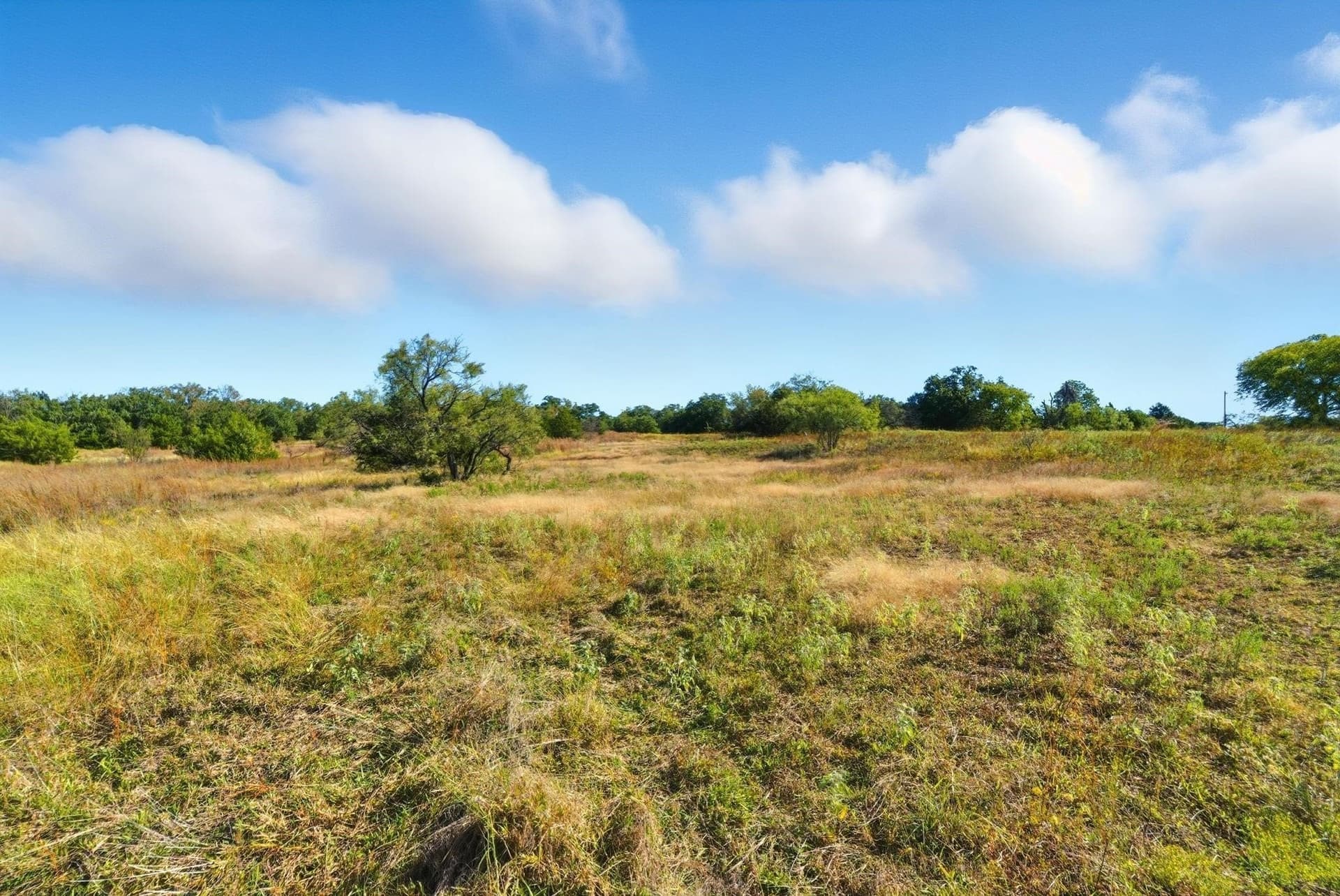 94.61 acres in Wise County - photo 31