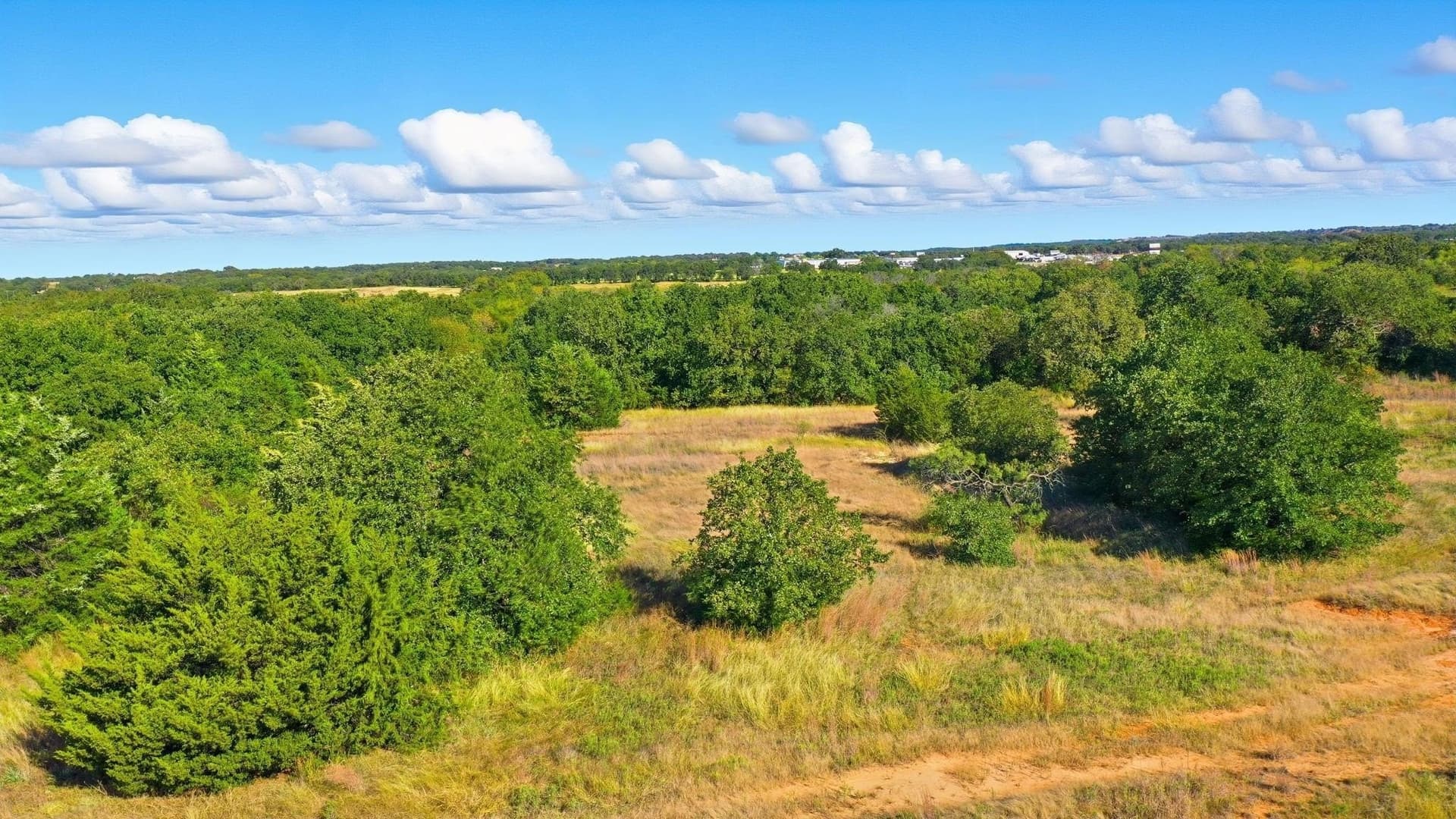 94.61 acres in Wise County - photo 14