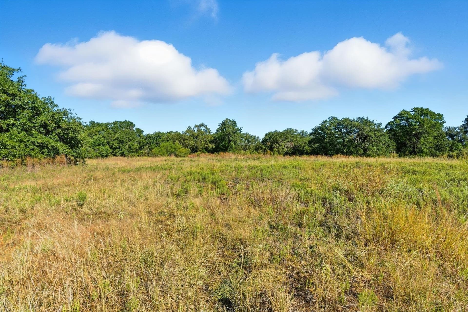 94.61 acres in Wise County - photo 30