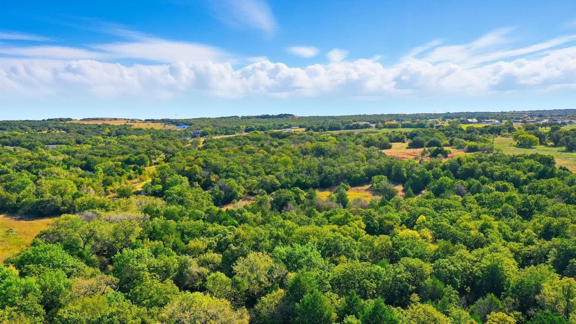 94.61 acres in Wise County - photo 22