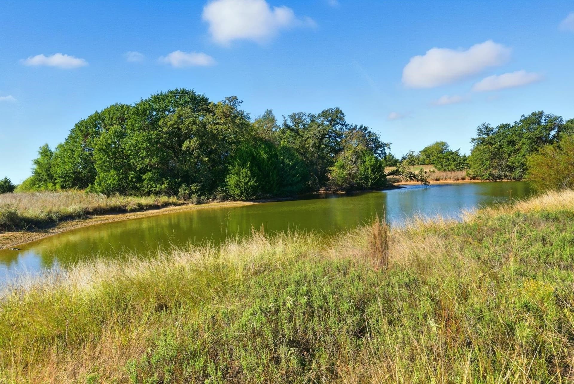 94.61 acres in Wise County - photo 7