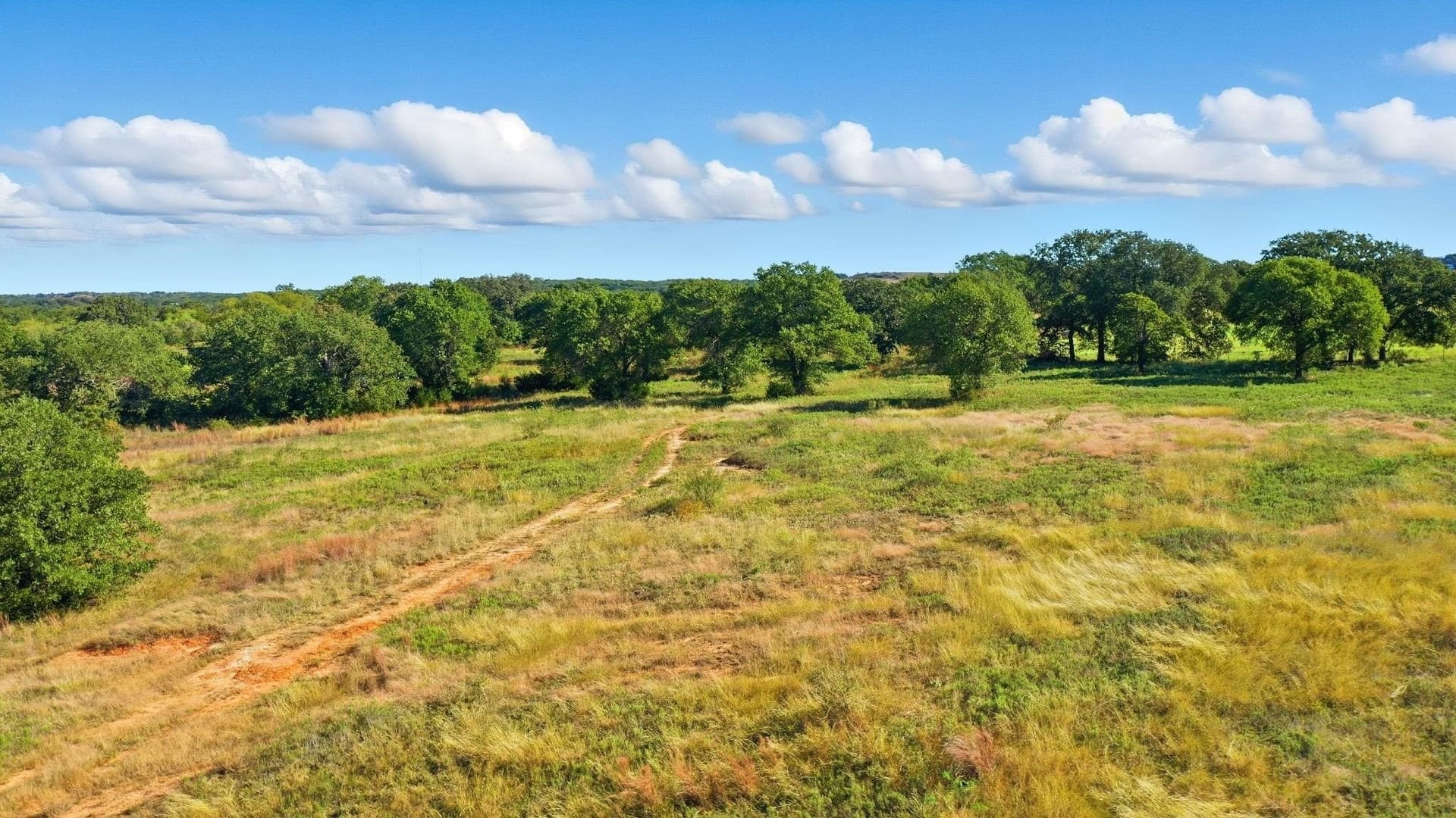 94.61 acres in Wise County - photo 16