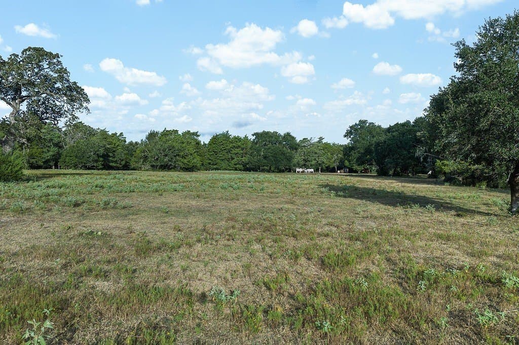 21.89 acres in Fayette County - photo 9