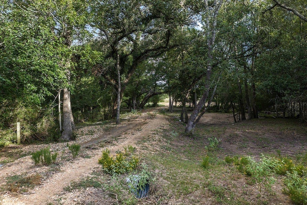 21.89 acres in Fayette County - photo 17