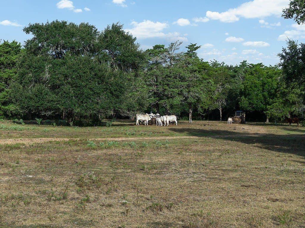 21.89 acres in Fayette County - photo 15