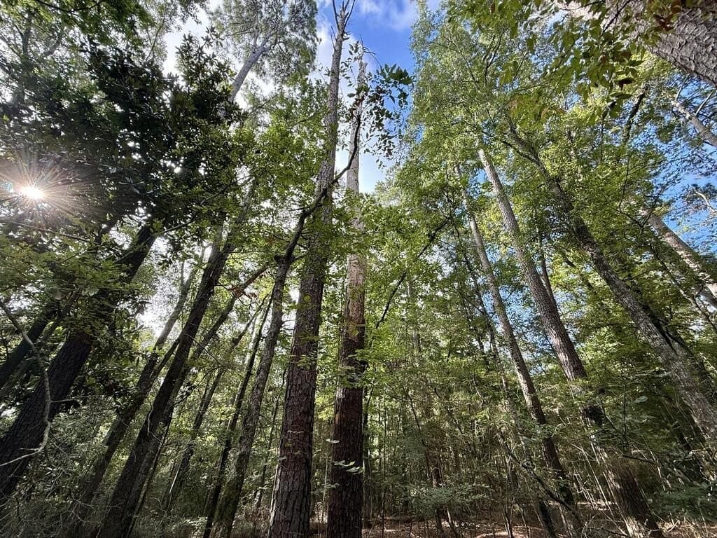 0.27 acres in Texas County