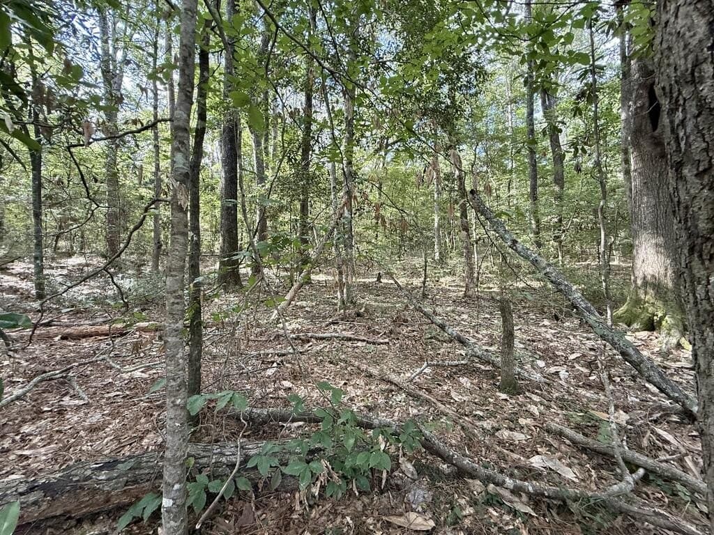 0.27 acres in Texas County - photo 5