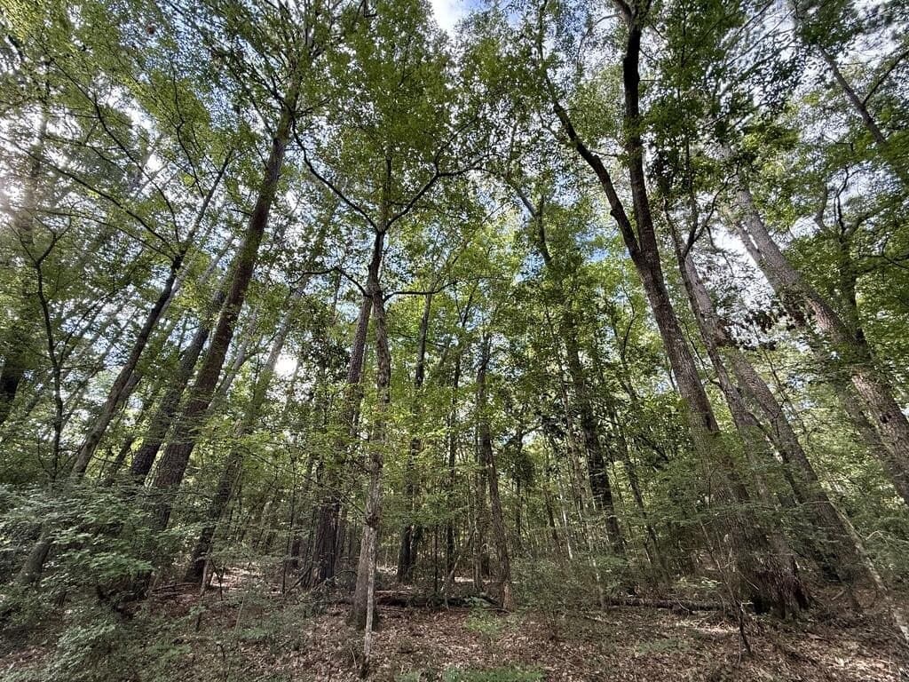 0.27 acres in Texas County - photo 3