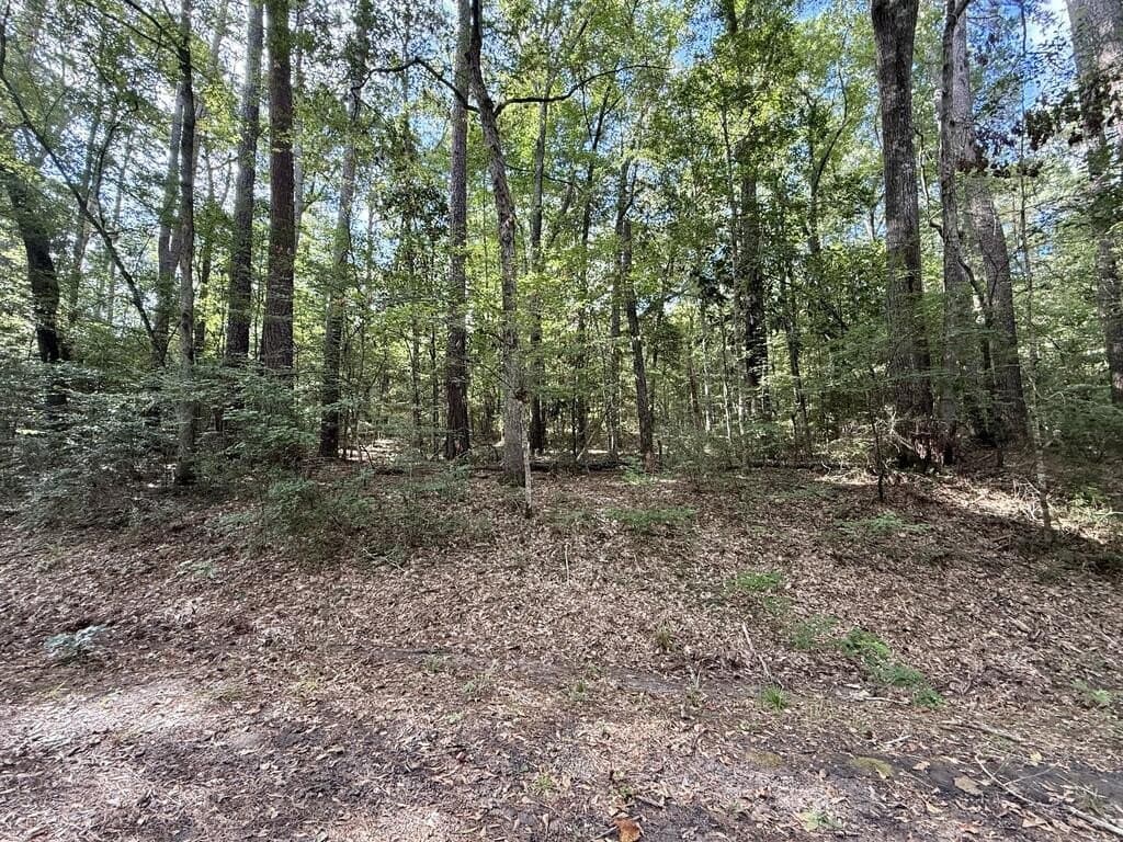 0.27 acres in Texas County - photo 2