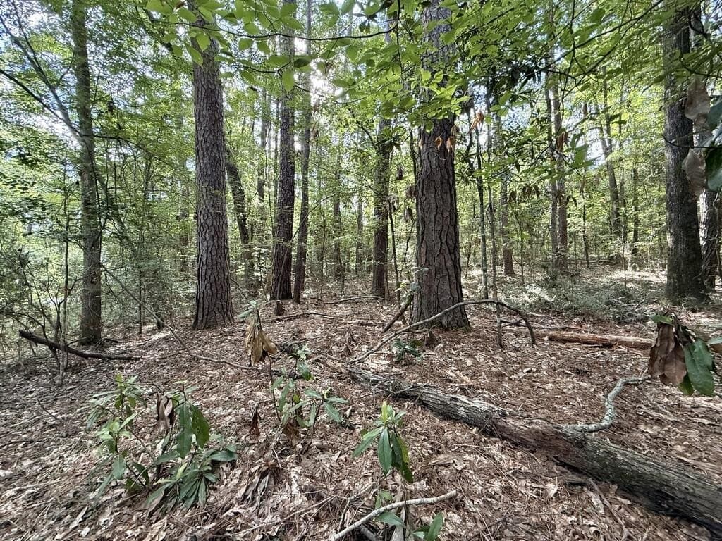 0.27 acres in Texas County - photo 4