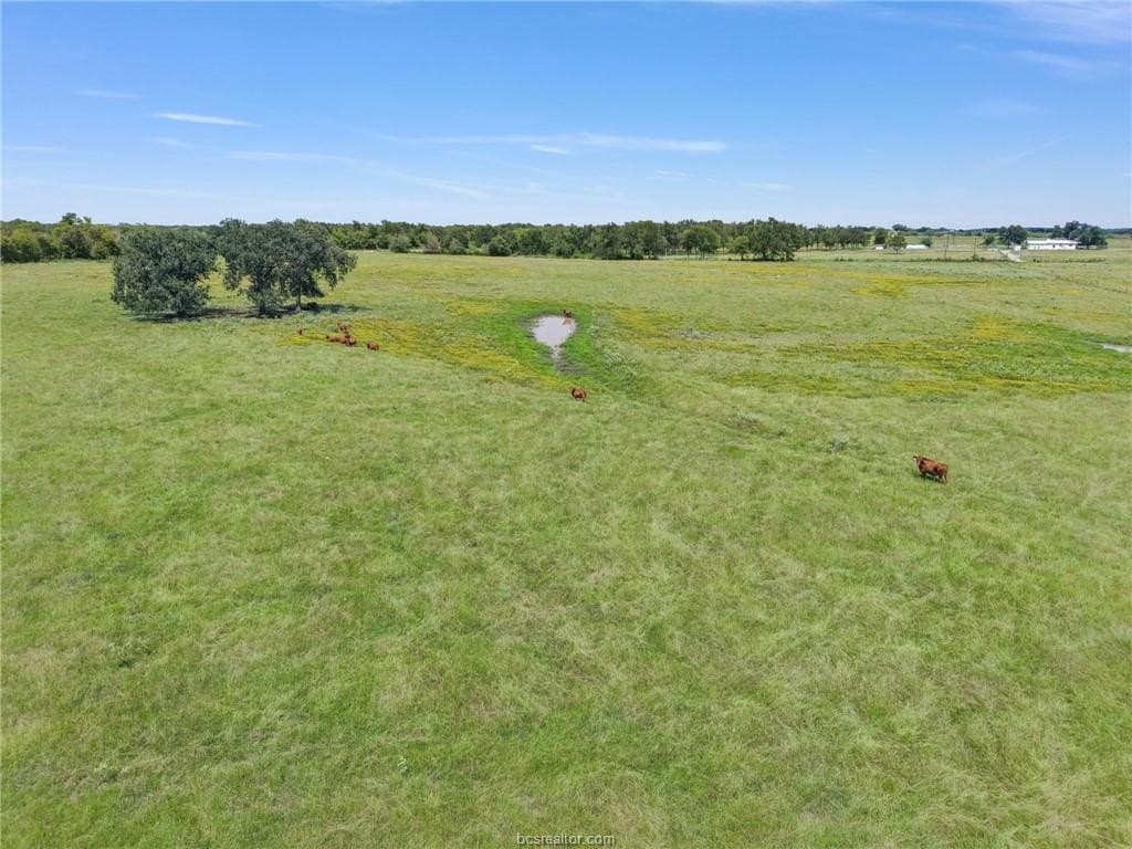 76 acres in Milam County - photo 48