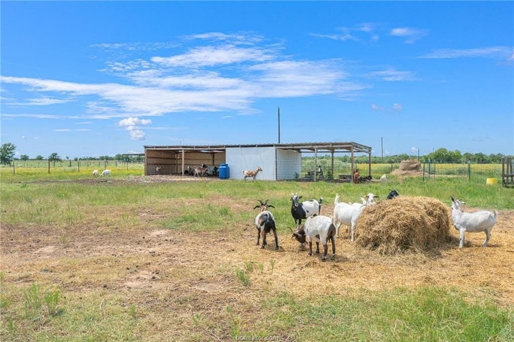 76 acres in Milam County - photo 43