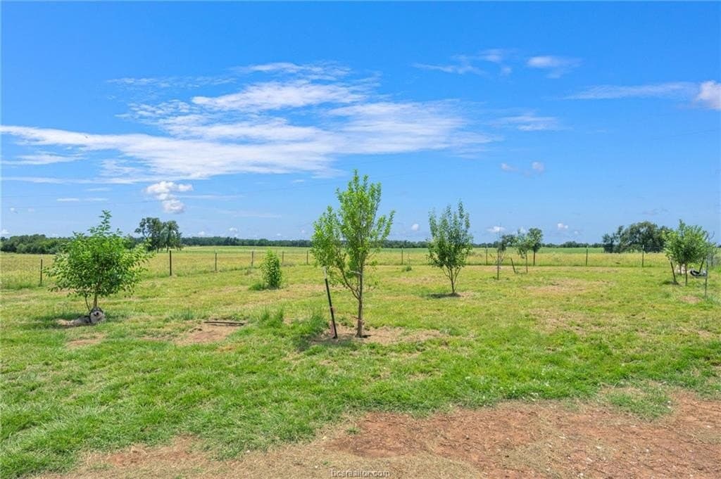 76 acres in Milam County - photo 36