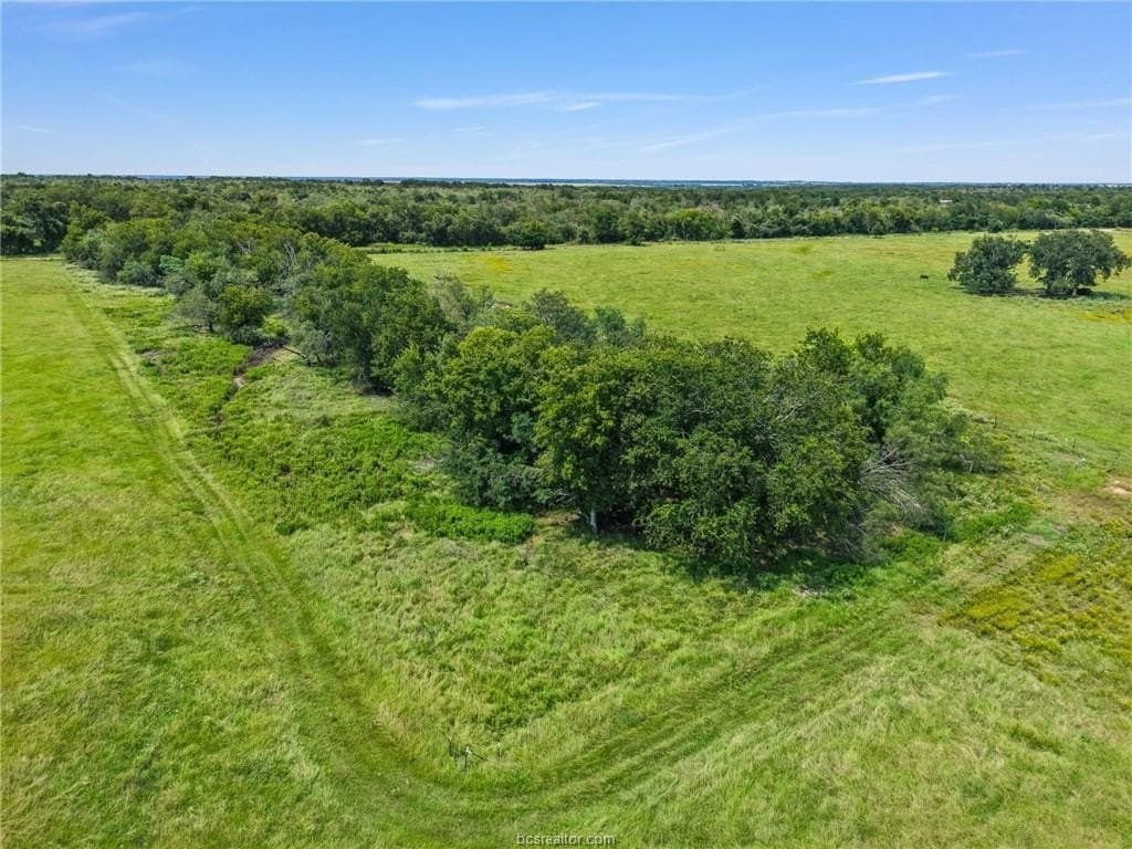 76 acres in Milam County - photo 46