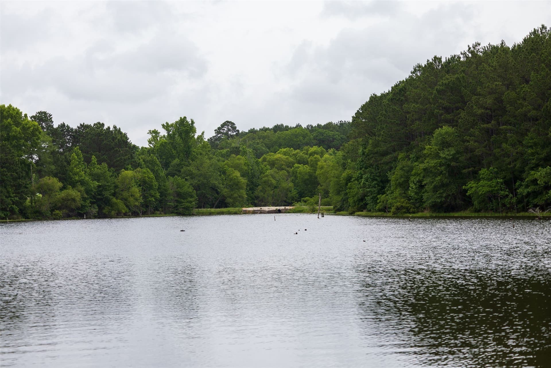 118.1 acres in Cherokee County - photo 33