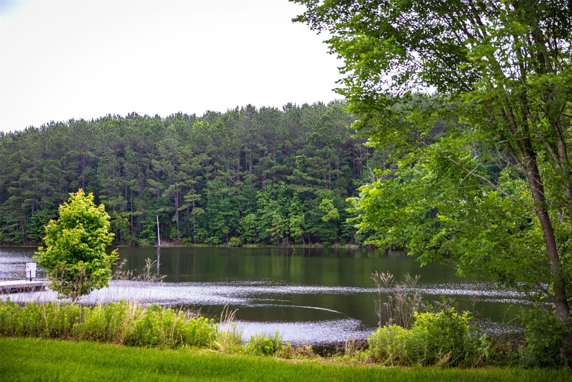 118.1 acres in Cherokee County - photo 34