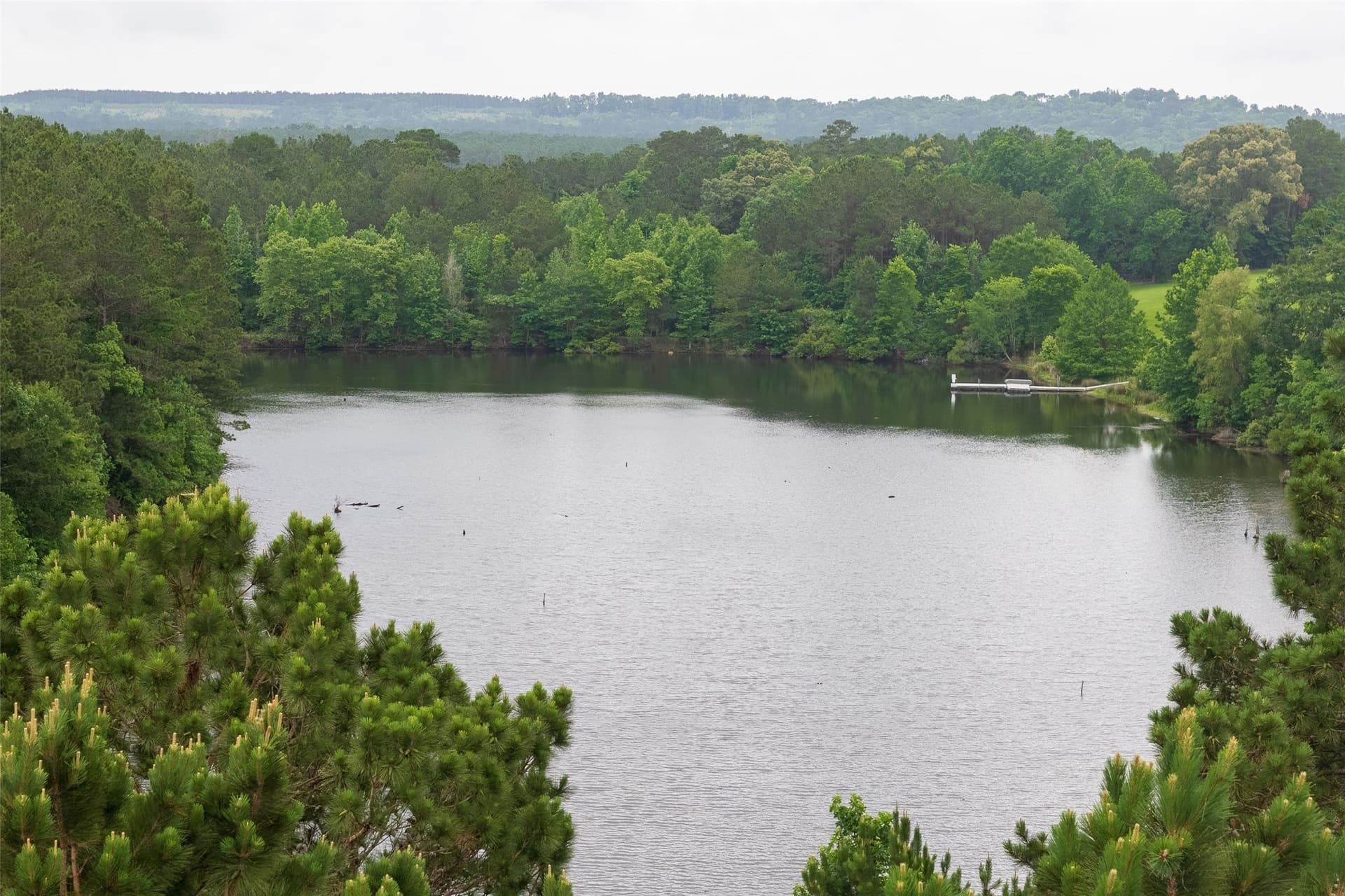 118.1 acres in Cherokee County - photo 38