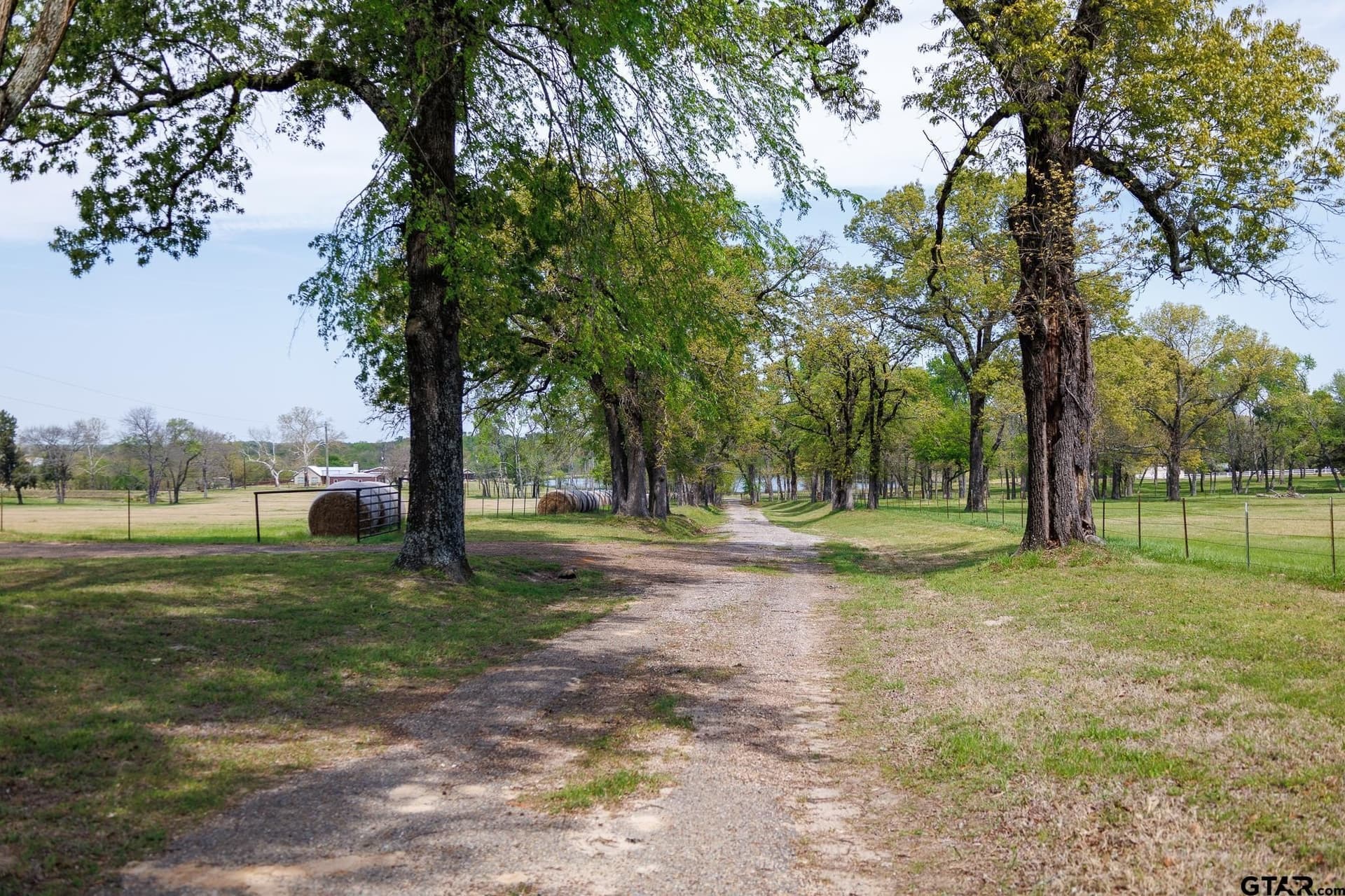 76.56 acres in Van Zandt County gallery image 2