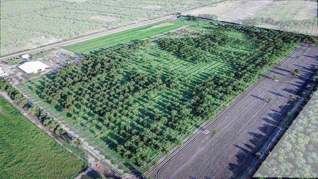 10 acres in Maverick County - photo 9