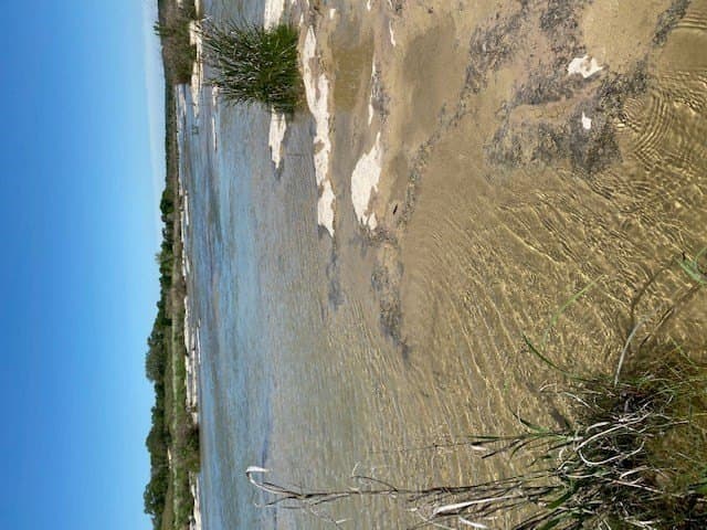 7.74 acres in Blanco County - photo 6