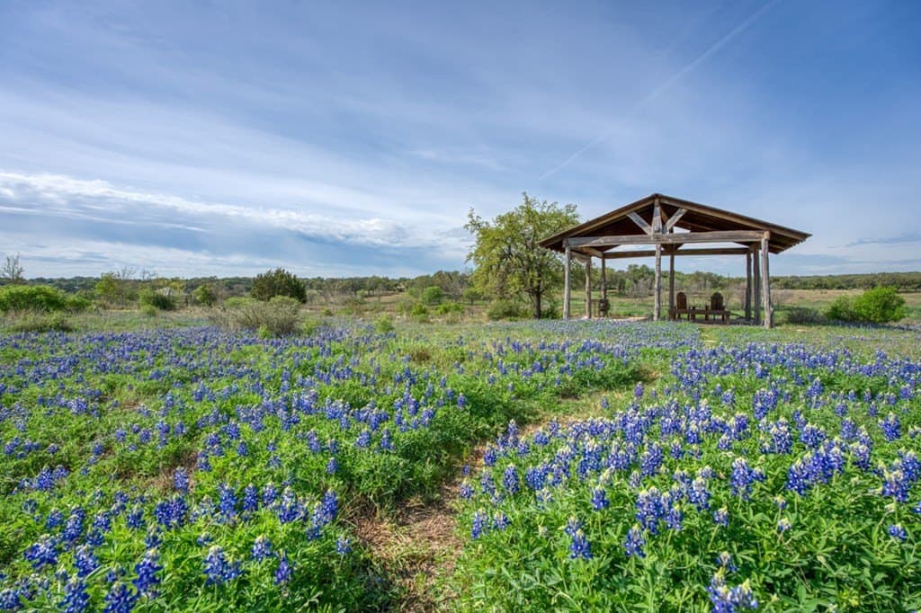 7.74 acres in Blanco County - photo 14