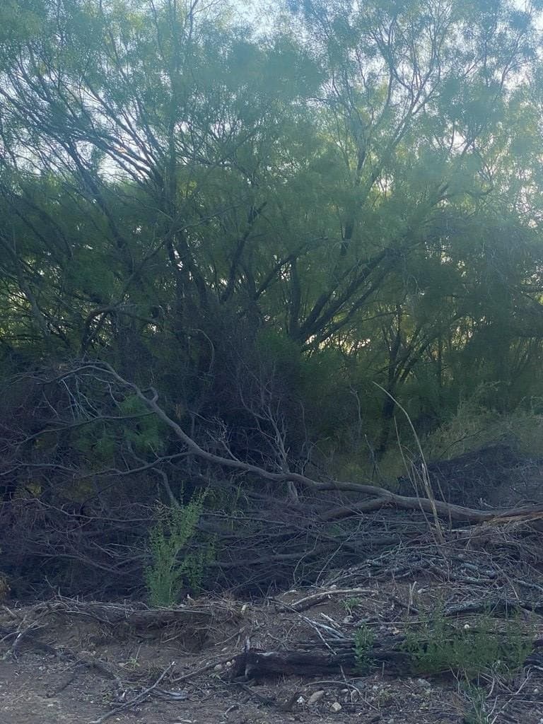 0.43 acres in Maverick County featured view