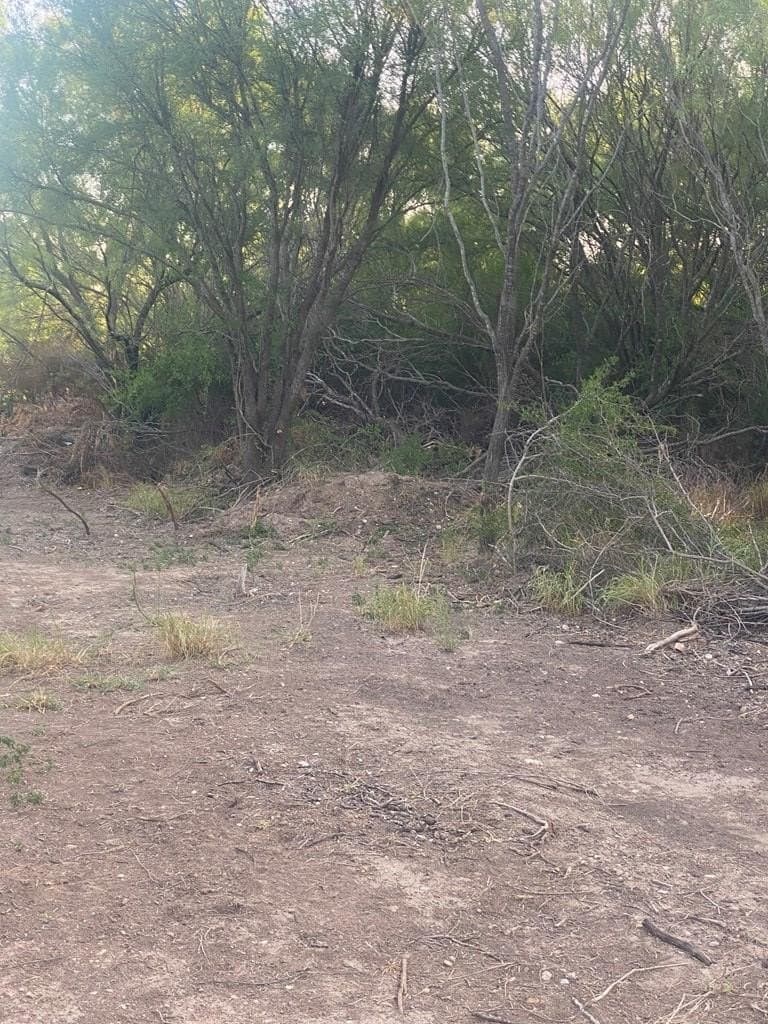 0.43 acres in Maverick County gallery image 3