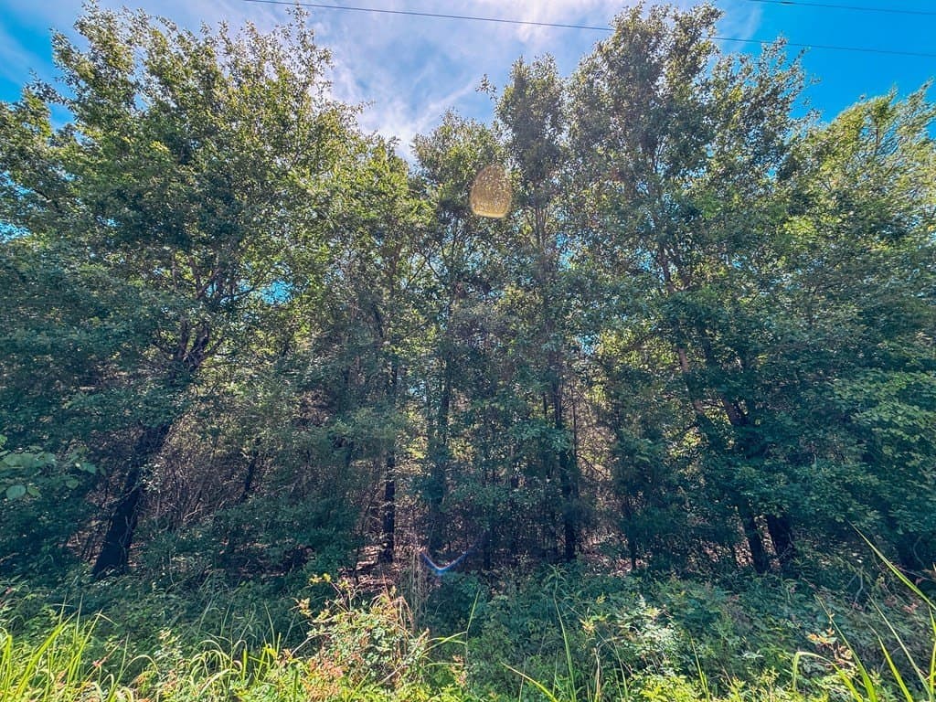 3.61 acres in ANDERSON County gallery image 4