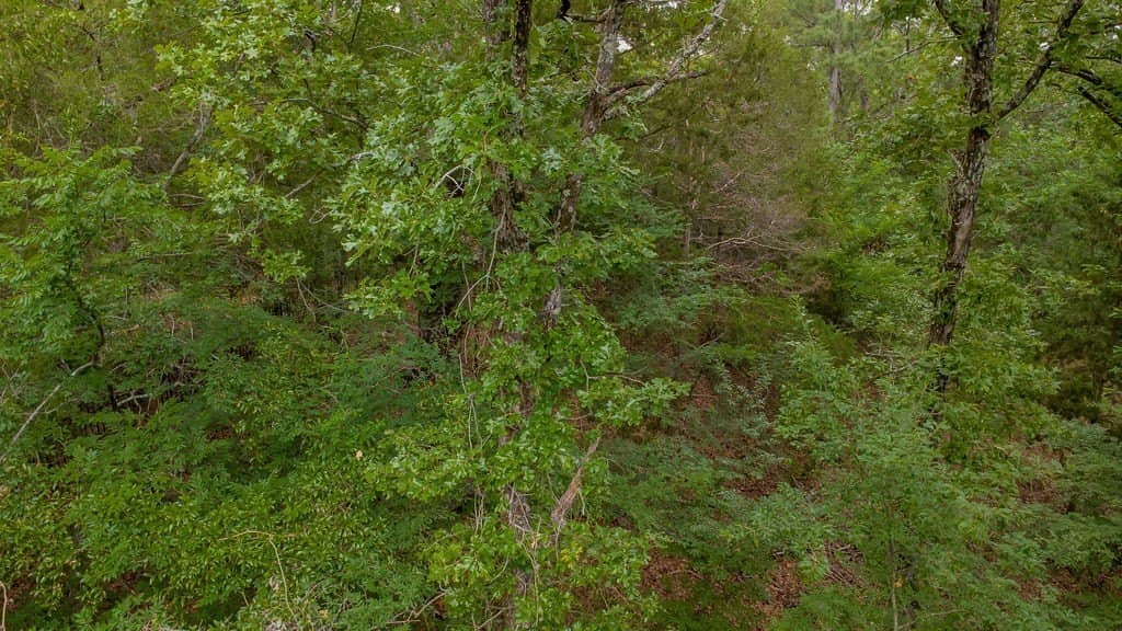 0.61 acres in Smith County gallery image 4