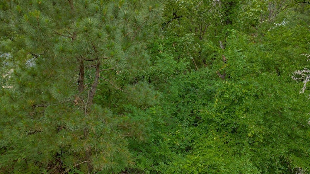 0.61 acres in Smith County - photo 6