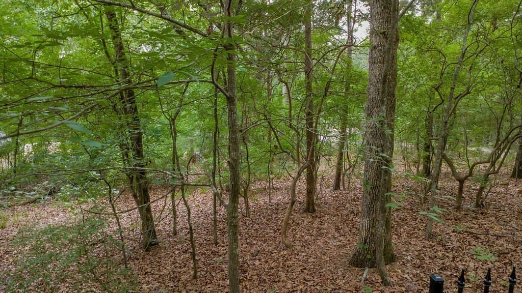 0.61 acres in Smith County - photo 13