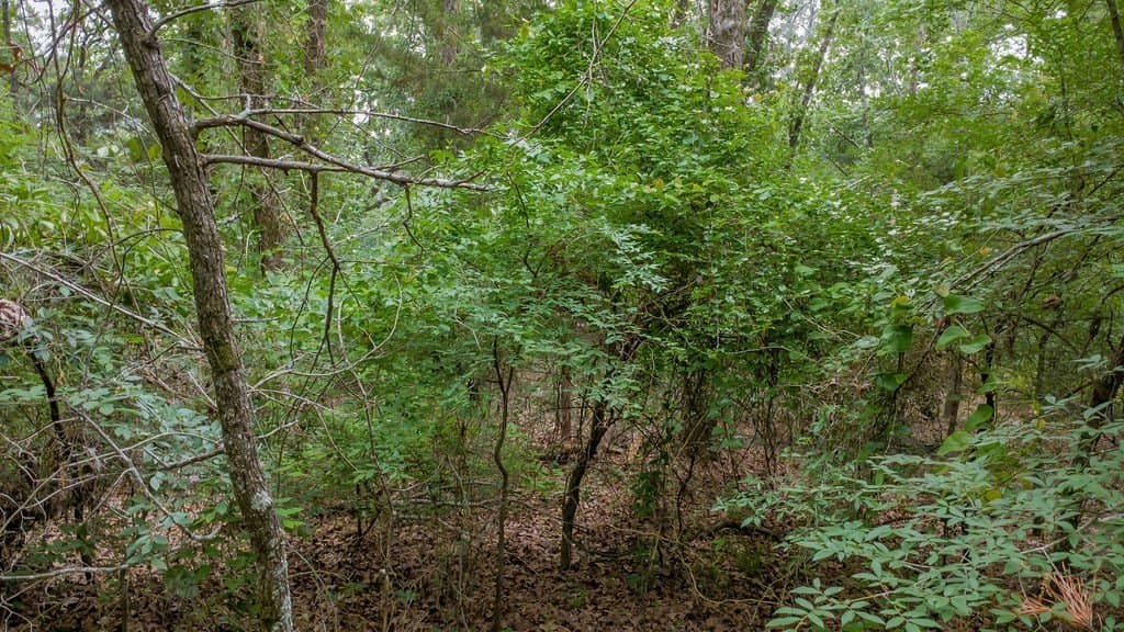 0.61 acres in Smith County - photo 9